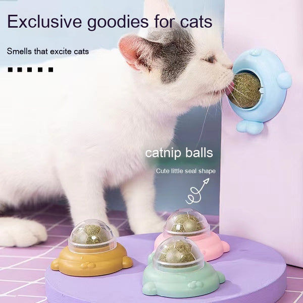 Light green turtle-shaped catnip toy with a clear, football-patterned dome filled with catnip.