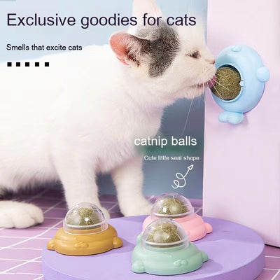 Light green turtle-shaped catnip toy with a clear, football-patterned dome filled with catnip.
