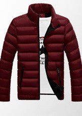 Chaqueta Acolchada de Algodón con Cuello Alto - Image 12