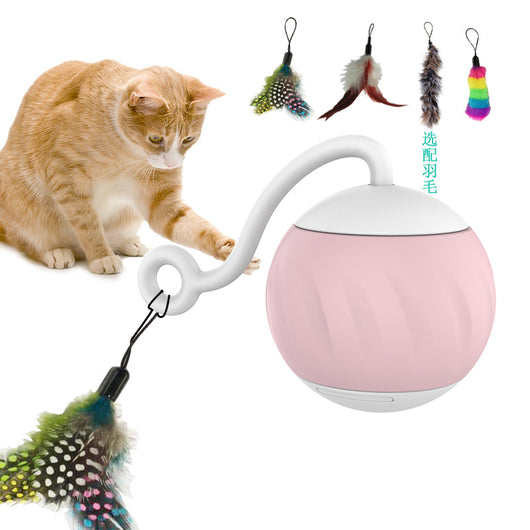 Orange pumpkin-shaped cat toy with a teal vine and paw print details, measuring 61mm. - Image 3