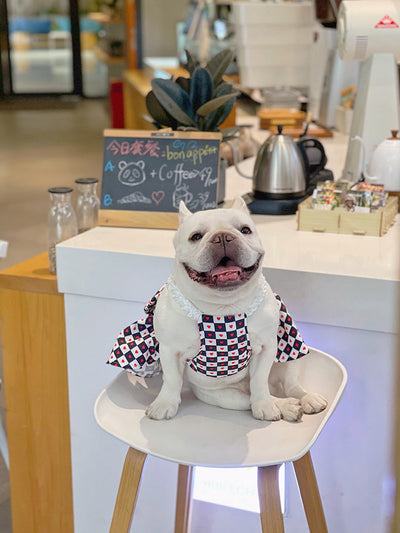 Ropa para Mascotas Ajedrez Primavera y Verano Bichón - Image 12