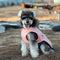 Abrigo Acolchado Antibacterial con Desodorante para Perros