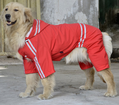 Impermeable para Perros Grandes y Medianos - Image 62