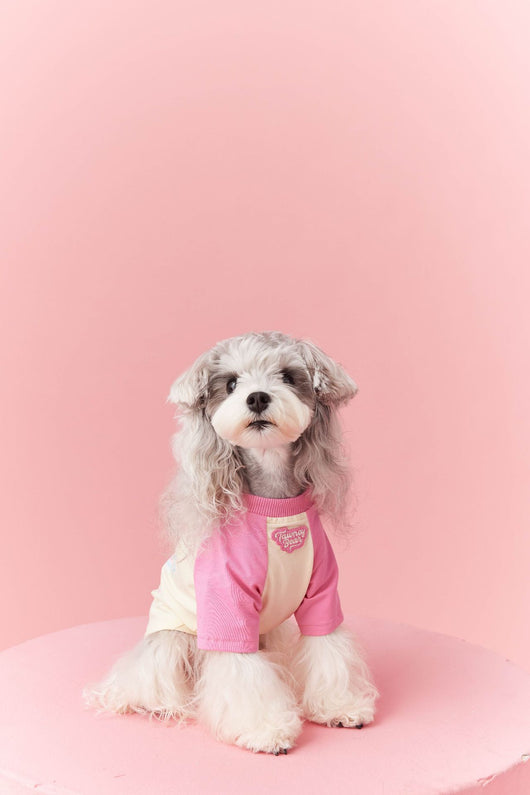 Ropa de Verano para Perros con Contraste de Colores - Image 32