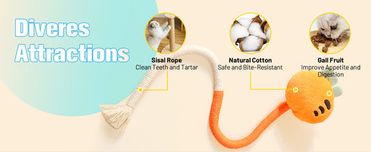 Juguetes para Gatos con Cuerda de Sisal y Hierba Gatera - Juguetes Seguros para Gatos Aburridos - Image 12