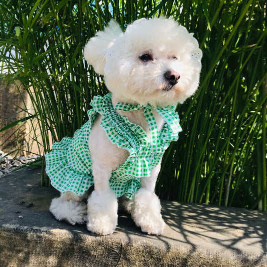 Vestido Escocés para Perro con Accesorios