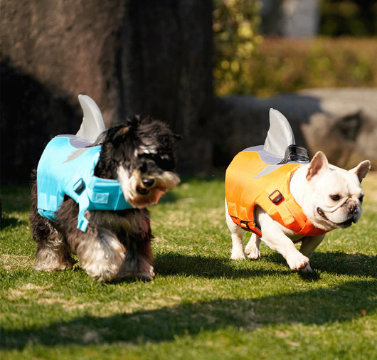 Chaleco Salvavidas para Perros con Aleta de Tiburón - Traje de Baño Deportivo