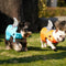 Chaleco Salvavidas para Perros con Aleta de Tiburón - Traje de Baño Deportivo