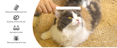 Peine Deslanador para Gatos - Acero Inoxidable con Puntas Suaves - Image 16