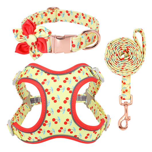 Correa y Collar para Perros Pequeños - Diseño Teddy Corgi - Image 21