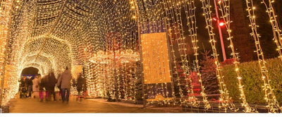Cadena de Luces LED para Exterior - Decoración de Calles y Espacios - Image 14