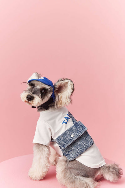 Ropa de Verano para Perros Pequeños - Teddy Schnauzer Bichón - Image 47