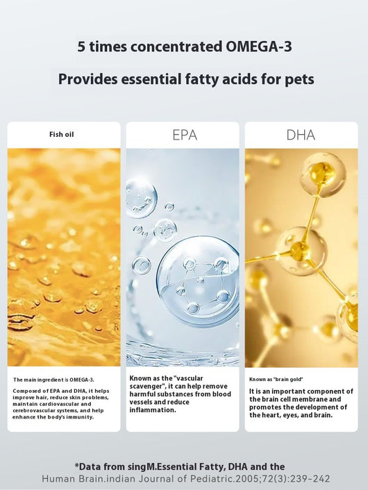 Aceite de Pescado Profundo Noruego - Suplemento Nutricional para Perros y Gatos - Image 12