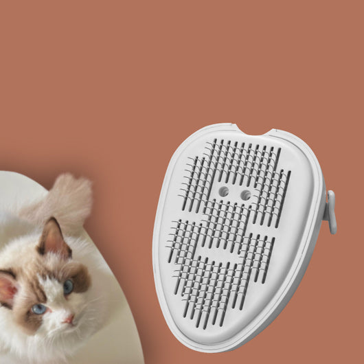 Cepillo de Vapor para Gatos Recargable con Limpieza Automática - Image 4