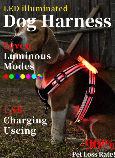 Chaleco LED Reflectante para Pasear Perros de Noche - Image 6