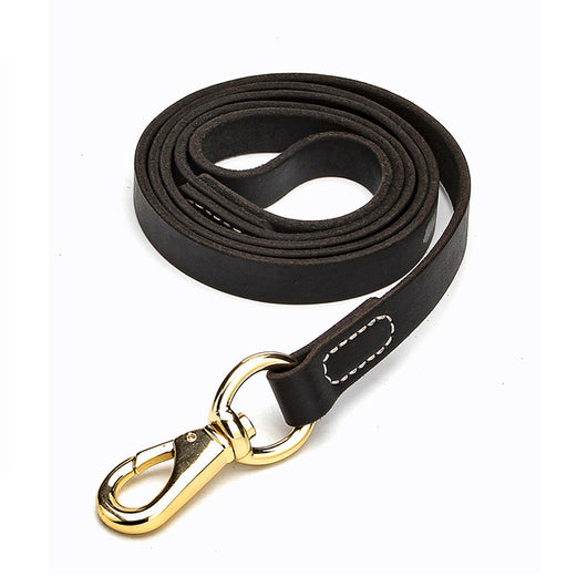 Correa de Cuero Genuino para Perros Medianos y Grandes - Image 13