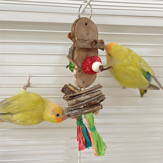 Two yellow-green parrots playing with a hanging bird bite toy made of natural wood slices, bark, and colorful shredded paper. - Image 3