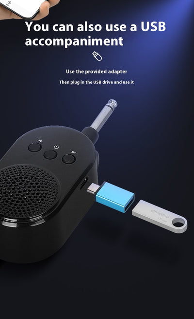Amplificador de Sonido Portátil con Conexión Directa Mini Speaker - Image 12
