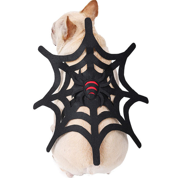 Kit de Transformación Halloween: Disfraz para Mascotas Gato, Perro y Telaraña