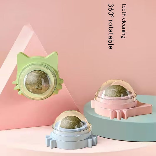 Light blue and light green catnip ball wall toys, shaped like cat faces, with clear domes containing catnip. - Image 8