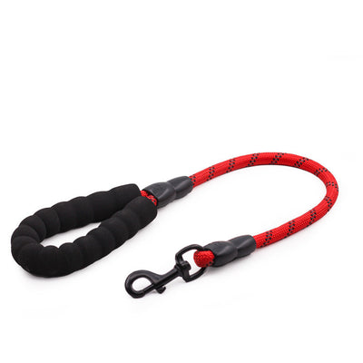 Cadena y Cuerda para Perros Grandes Golden Retriever - Accesorios Mascotas Premium - Image 11