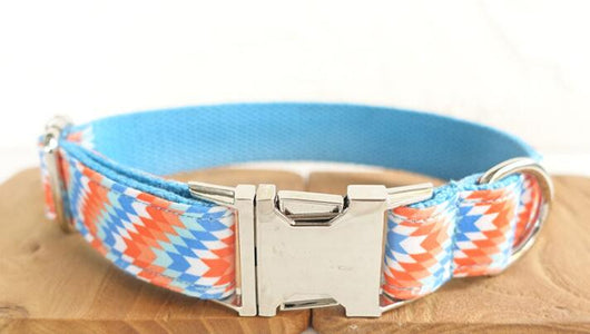 Collar para Perro de Calidad Premium