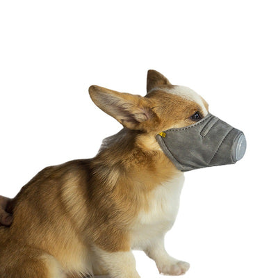 Mascarilla Respiratoria Anti-Polvo y Contaminación para Perros con Filtro PM2.5 - Image 13