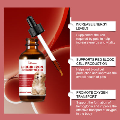 Suplementos Digestivos para Perros con Ingredientes Naturales - Image 13