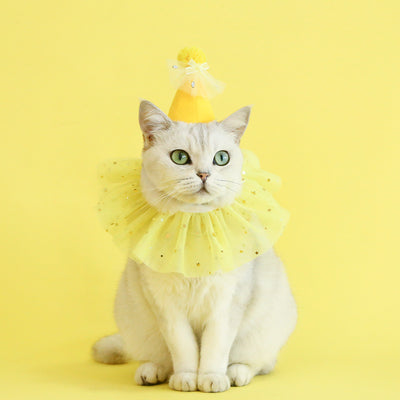 Conjunto de Accesorios para Mascotas: Falda de Tul con Lentejuelas, Babero de Encaje y Sombrero de Fieltro - Image 4