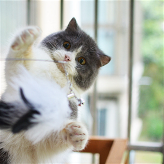 Varita Interactiva para Gatos - Juguete Divertido con Cuerda - Image 5