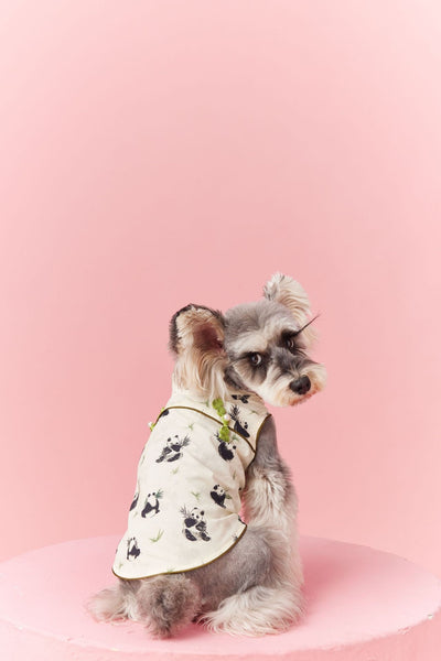 Chaleco sin Mangas Estilo Chino para Mascotas - Diseño Panda Teddy Schnauzer Bichón - Image 21
