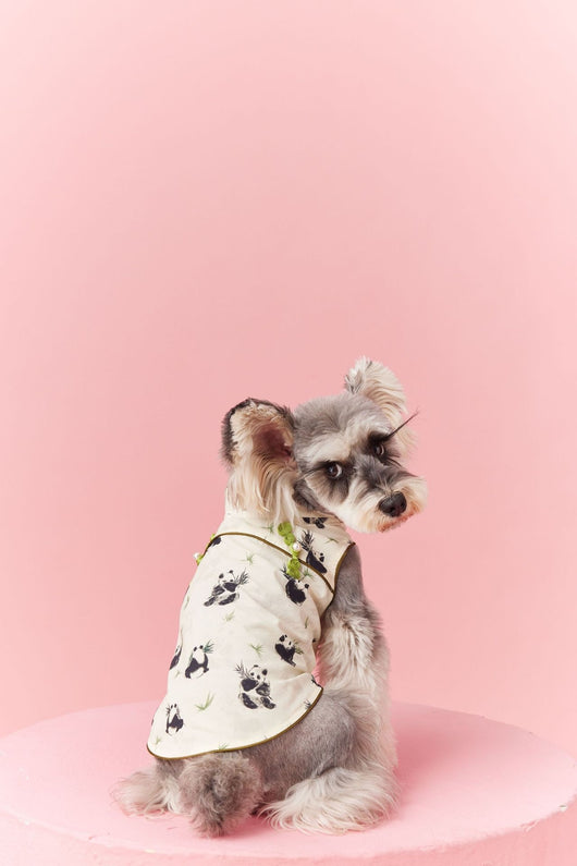 Chaleco sin Mangas Estilo Chino para Mascotas - Diseño Panda Teddy Schnauzer Bichón - Image 21