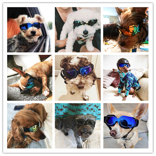 Gafas de Sol Coloridas para Mascotas - Perros y Gatos