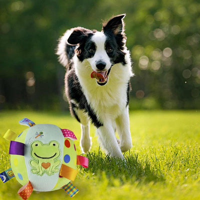 Juguetes Interactivos para Perros con Sonidos y Pelotas Chirriantes - Image 13