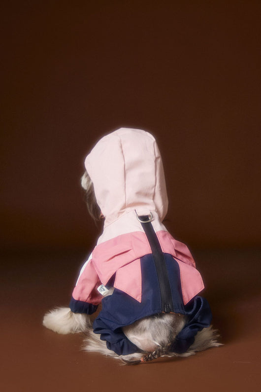 Ropa Deportiva para Perros Bichon Schnauzer con Arnés de Seguridad VIP - Image 4