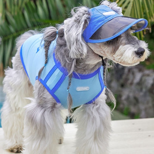 Gorro de Otoño para Perros Pequeños York