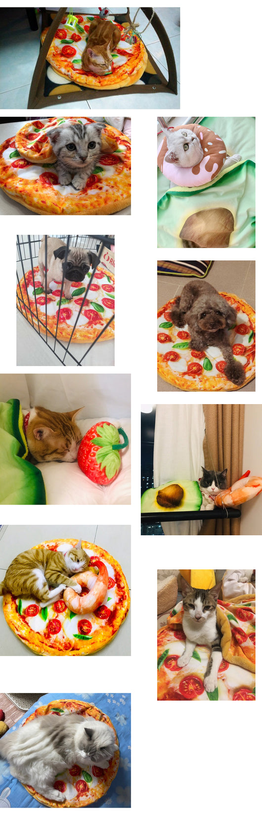 Cama Térmica 3D para Mascotas - Diseño Pizza, Aguacate y Tostada - Image 21