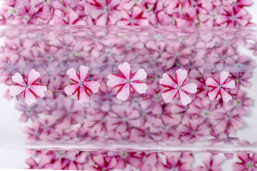 Marcapáginas con Flor de Cerezo Deshidratada - Accesorio Ornamental con Espécimen Botánico - Image 22