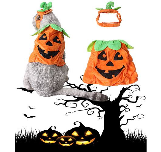Disfraz de Gato Halloween con Decoración de Calabaza y Hojas Verdes - Image 9