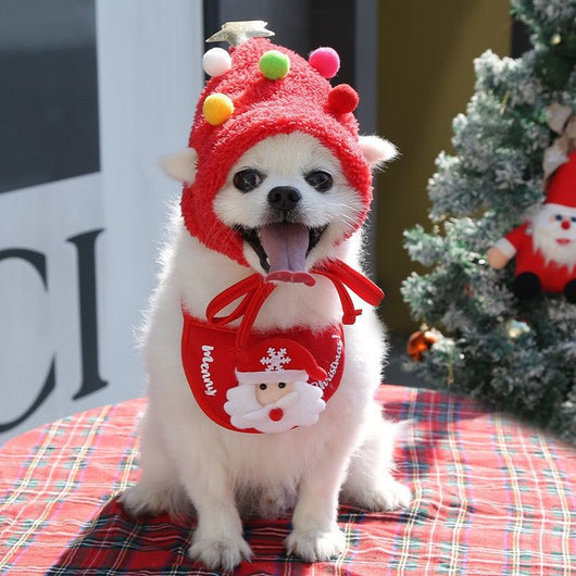 Ropa de Abrigo para Mascotas - Colección Otoño e Invierno - Image 6