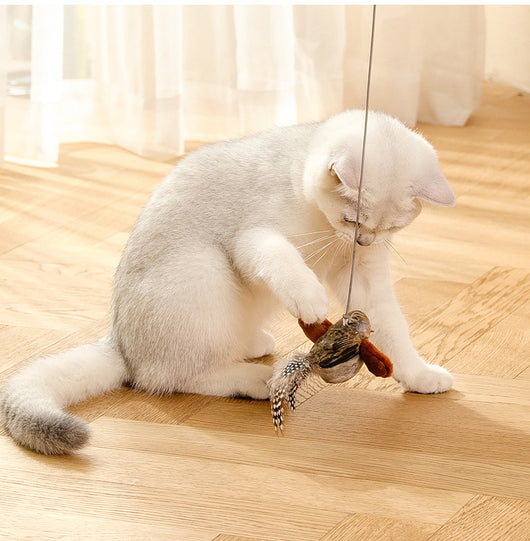 Colorful bird cat toy with green fluffy wings, black head, yellow face, orange beak, and spotted tail feathers. - Image 23