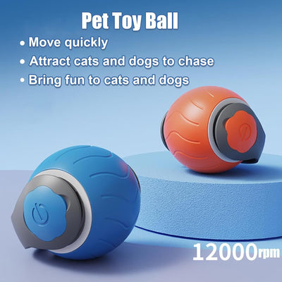 Blue interactive cat toy ball with a lime green tail and a power button, designed for indoor cats. - Image 13