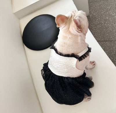 Vestido Aereo para Perros Pequeños Pomerania Jarre Aero Bull - Image 12