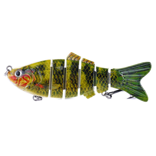 Peces Carnada Premium - Image 19