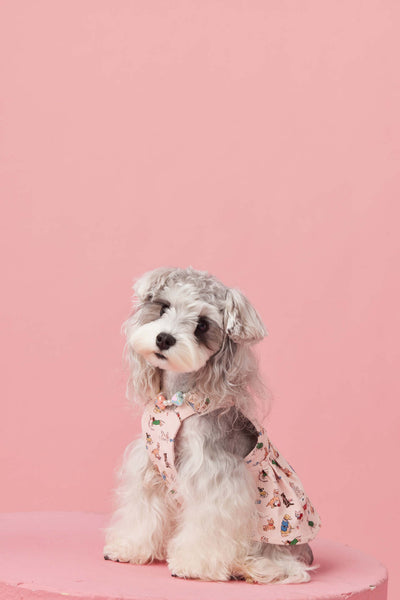 Falda Denim con Tirantes para Perros Pequeños Schnauzer y Maltés - Image 48