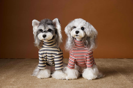 Camiseta Interior Ajustada para Perros Maltés y Schnauzer - Tejido Hipoalergénico - Image 16