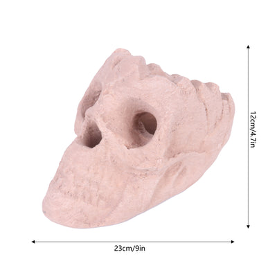 Decoración de Calavera de Cerámica para Asador y Fiestas Temáticas - Image 9