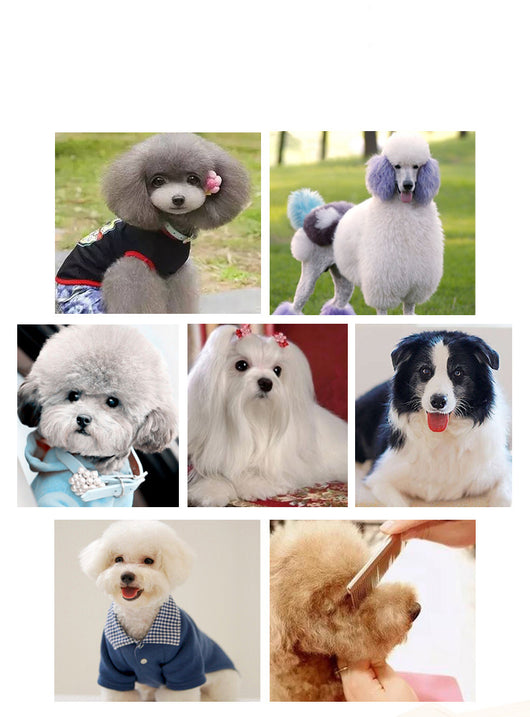 Tijeras Profesionales para Perros y Gatos - Desbastador de Precisión - Image 10