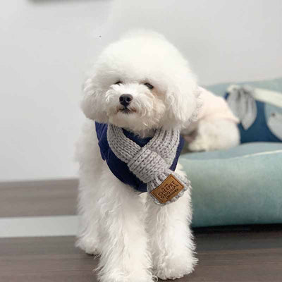 Pañuelo Bandana Térmico para Perros - Collar Cálido para Mascotas Pequeñas - Image 6