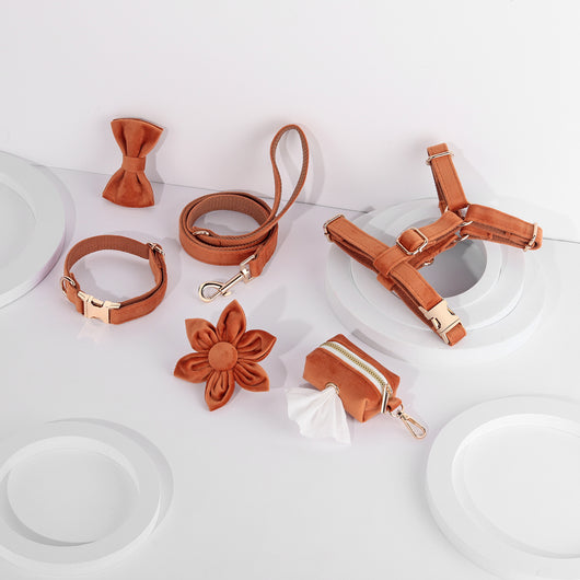 Conjunto de Collar y Correa de Terciopelo Suave para Mascotas - Image 2